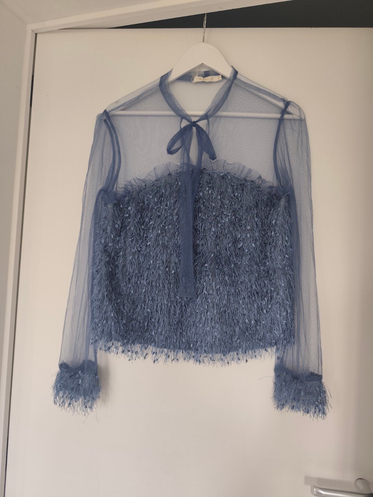 Vrouwelijke en sexy blouse van tule en plumetis. 65% katoen, Kleding | Dames, Topjes, Maat 38/40 (M), Blauw, Luzabelle, Ophalen of Verzenden