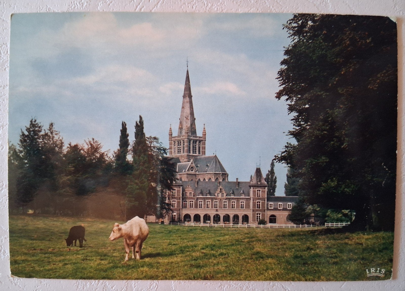 postkaart Dadizele, Verzamelen, Ophalen of Verzenden