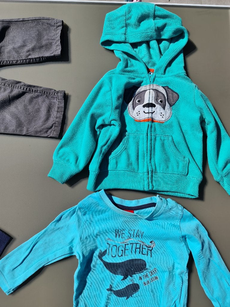groene rits cardigan, gillet, pull, trui, hoody hond 74, Ophalen, Zo goed als nieuw