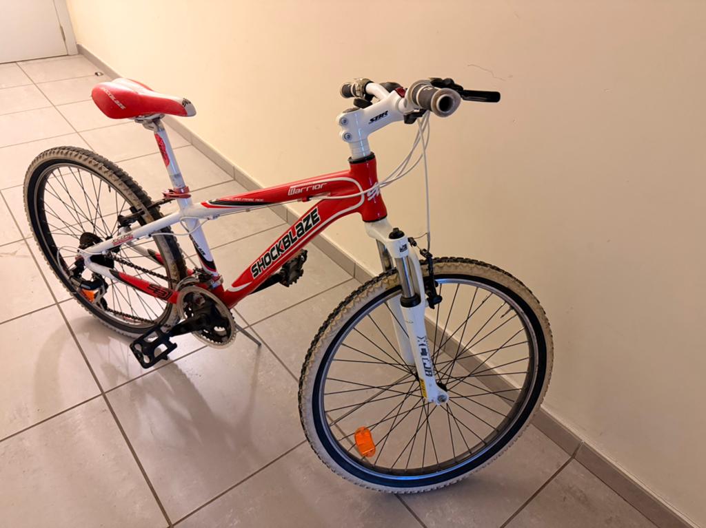 VTT vélo 24 pouce, Autres marques, Frein sur jante, Enlèvement, Utilisé