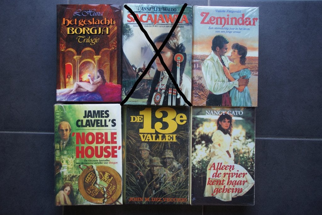 Lot van 5 dikke boeken Romans: €2 per stuk of €5 voor de 5, Boeken, Ophalen of Verzenden, Nieuw