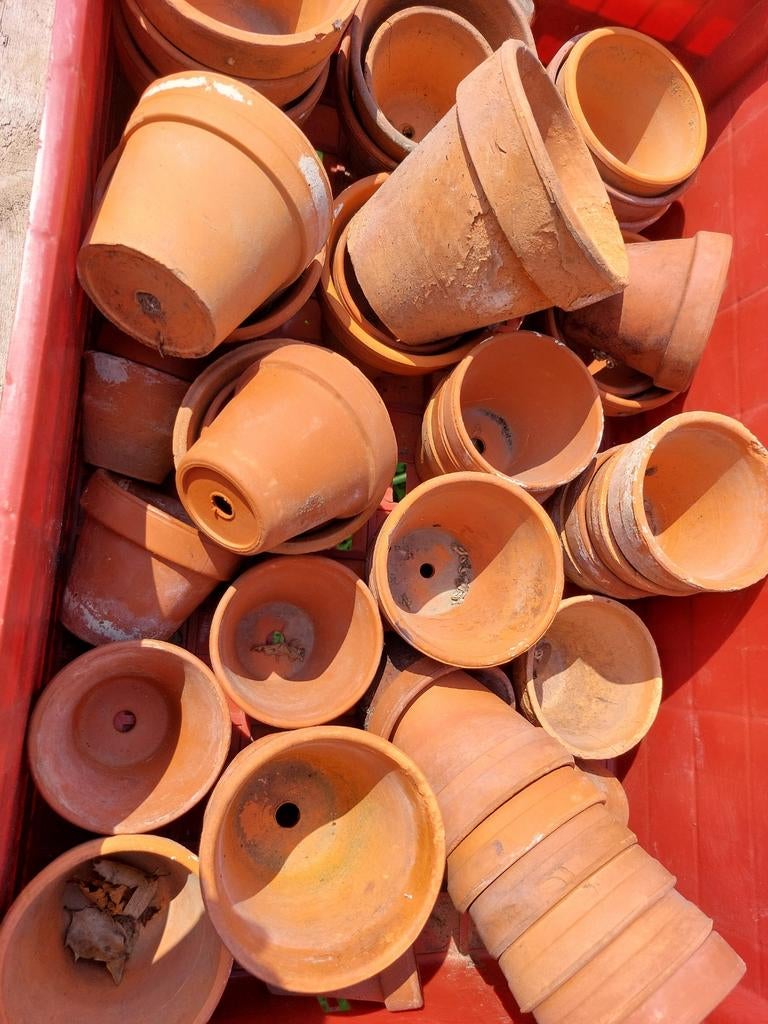 Terracotta potjes (verschillende maten), Ophalen, Terracotta
