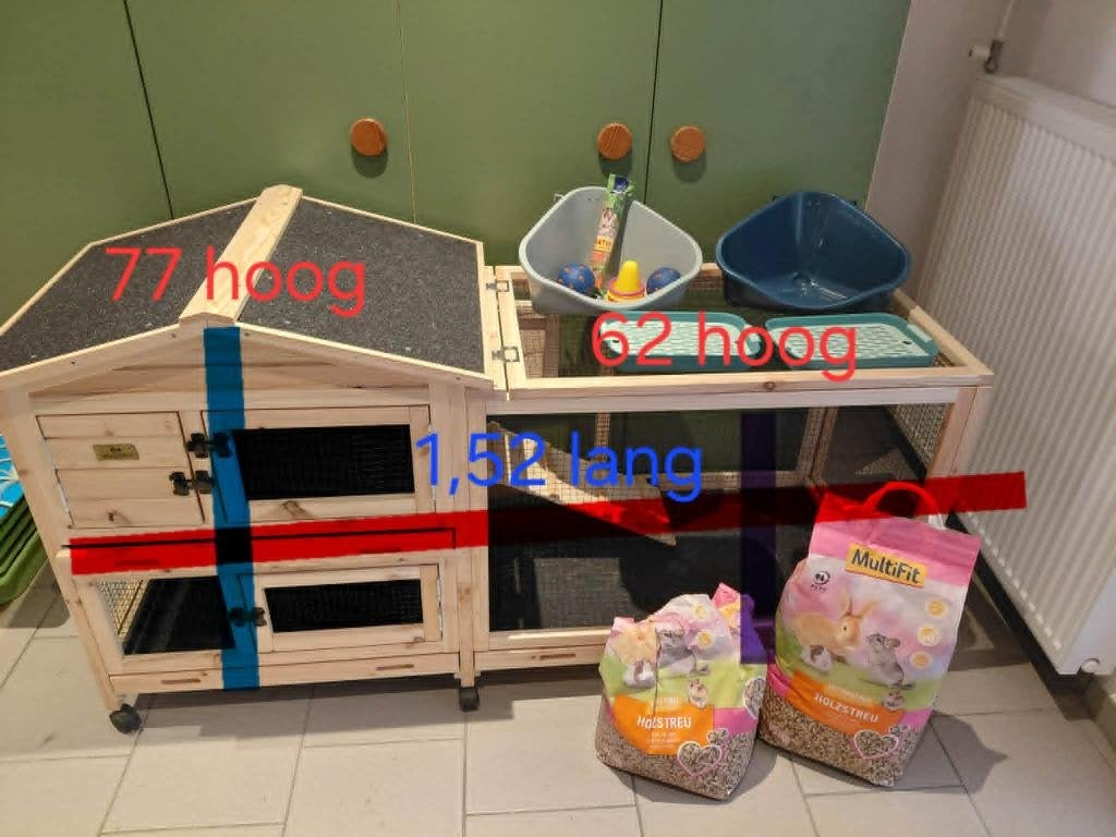 Konijn/caviahok, Dieren en Toebehoren, Ophalen, 110 cm of meer, 60 tot 90 cm, Cavia
