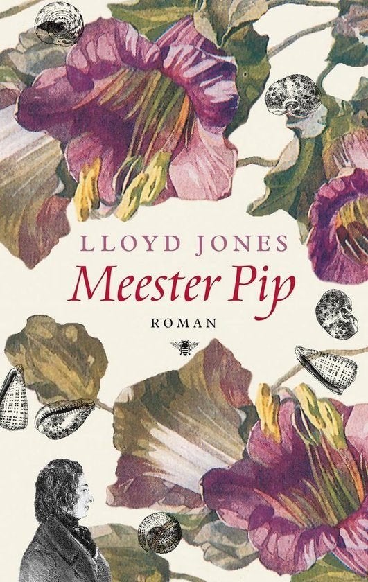 Te Koop Boek MENEER PIP Lloyd Jones, Europa overig, Lloyd Jones, Ophalen of Verzenden, Zo goed als nieuw