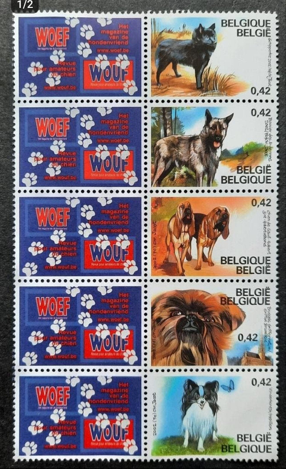 Belgique : COB 3064/68 ** Chiens de race belge 2001., Sans timbre, Neuf, Enlèvement ou Envoi, Non oblitéré