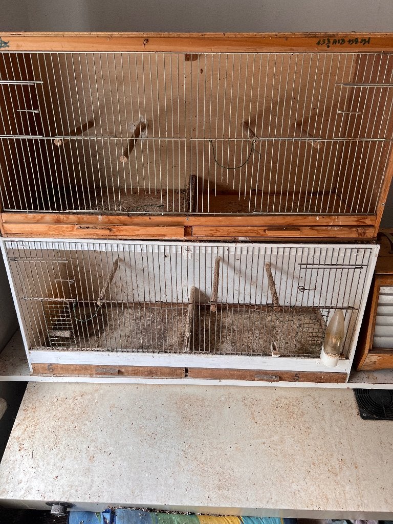 Kweekbakken vogels, Dieren en Toebehoren, Ophalen, Gebruikt, Hout, Vogelkooi
