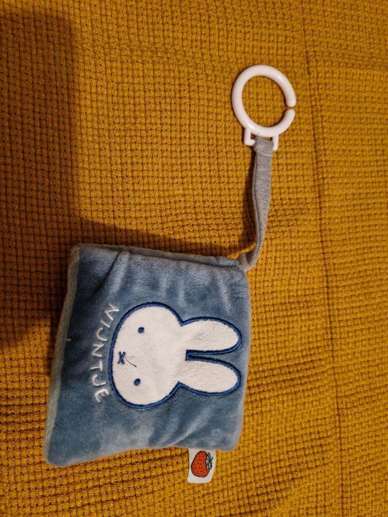 Hangspeeltje Nijntje, Ophalen