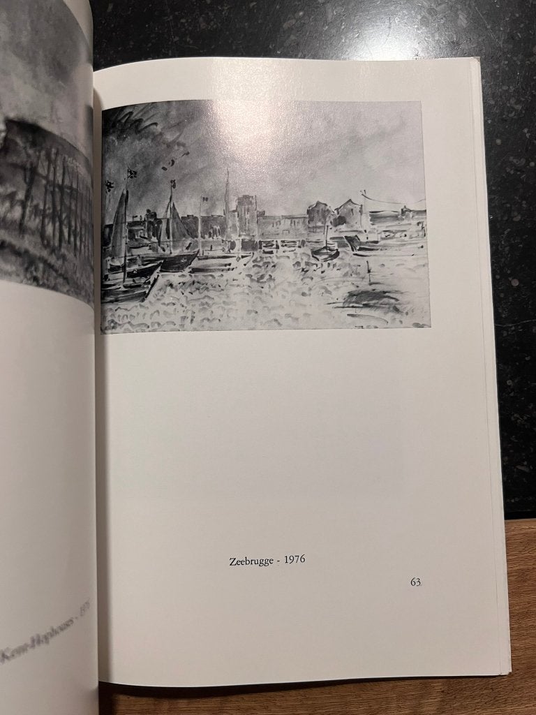 Etienne Van Damme - Roger Geerts *Kunstmonografie*, Gelezen, Ophalen of Verzenden, Denijs Peeters, Schilder- en Tekenkunst