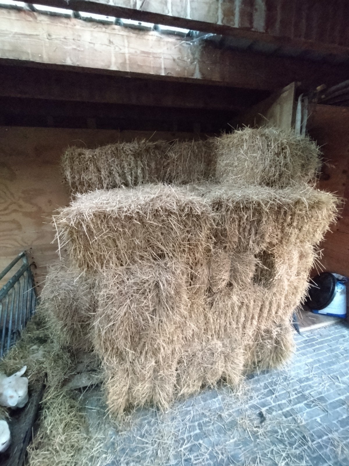 Kleine hooibalen 2de snede, Dieren en Toebehoren, Ophalen