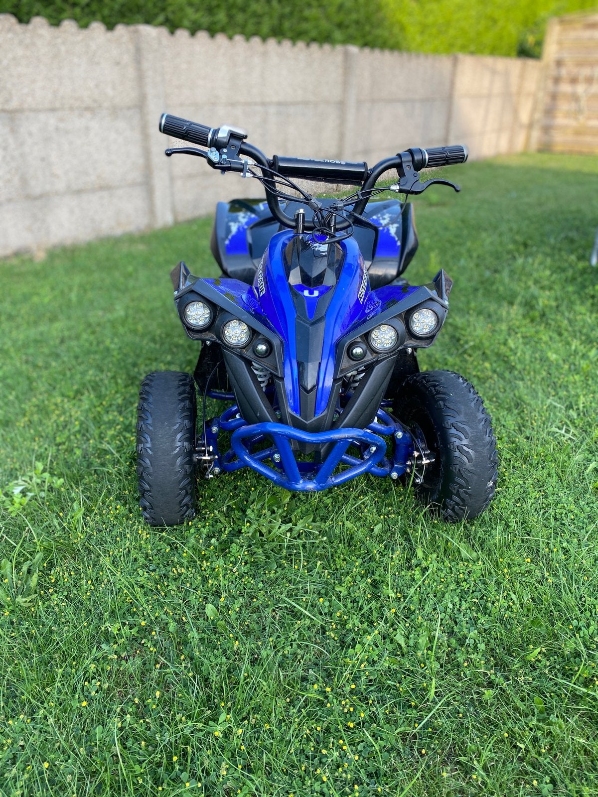 kinderquad, Motoren, Quads en Trikes