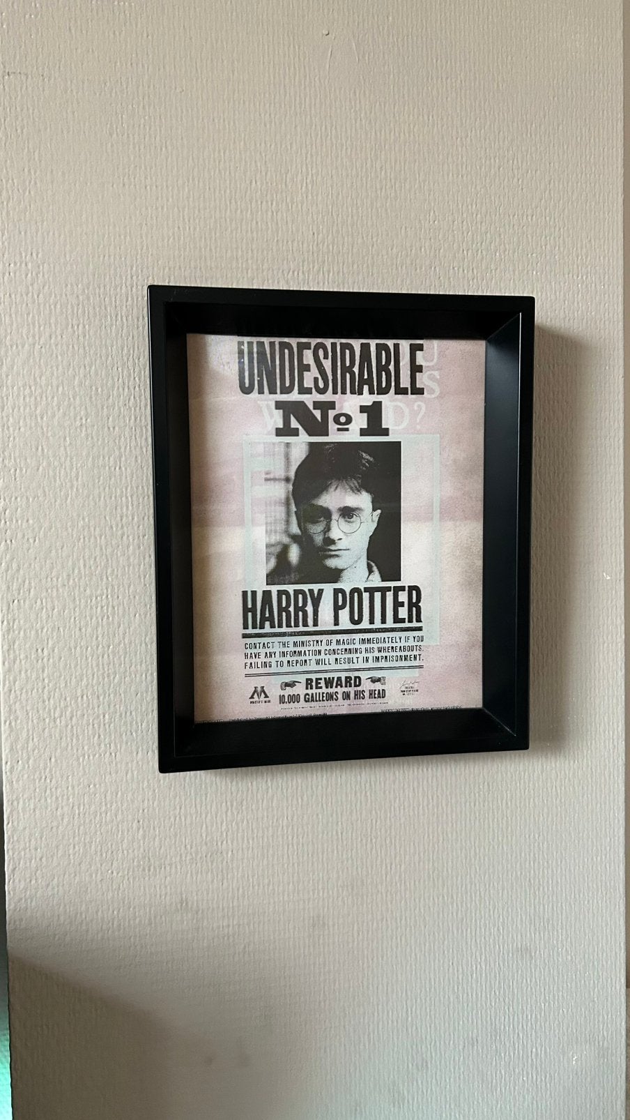 Cadre 3D harry potter et Sirius Black, Neuf, Avec image, Synthétique, Autres types