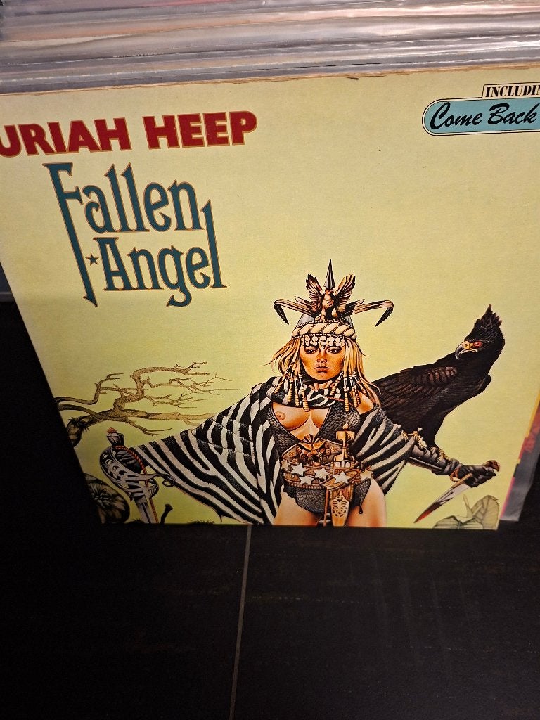 lp - uriah heep - fallen angel - bak 5, Fotohoes, LP, Gebruikt, Ophalen of Verzenden