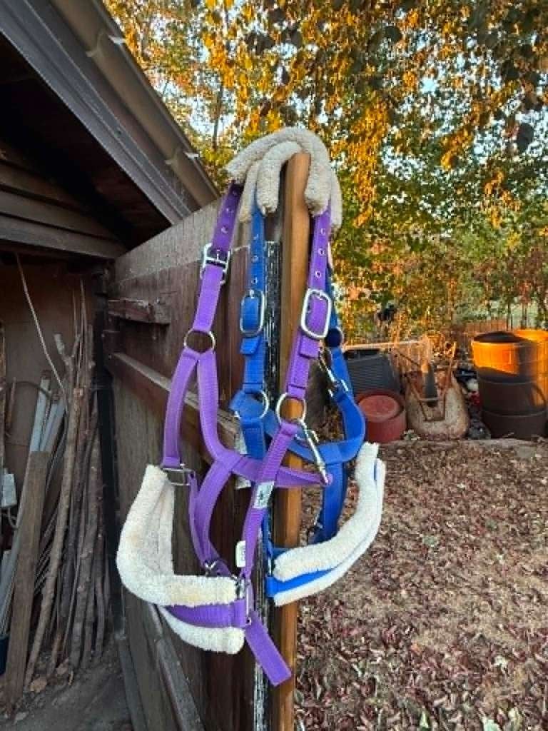 Licols Chevaux, Enlèvement ou Envoi, Comme neuf, Licou, Loisir