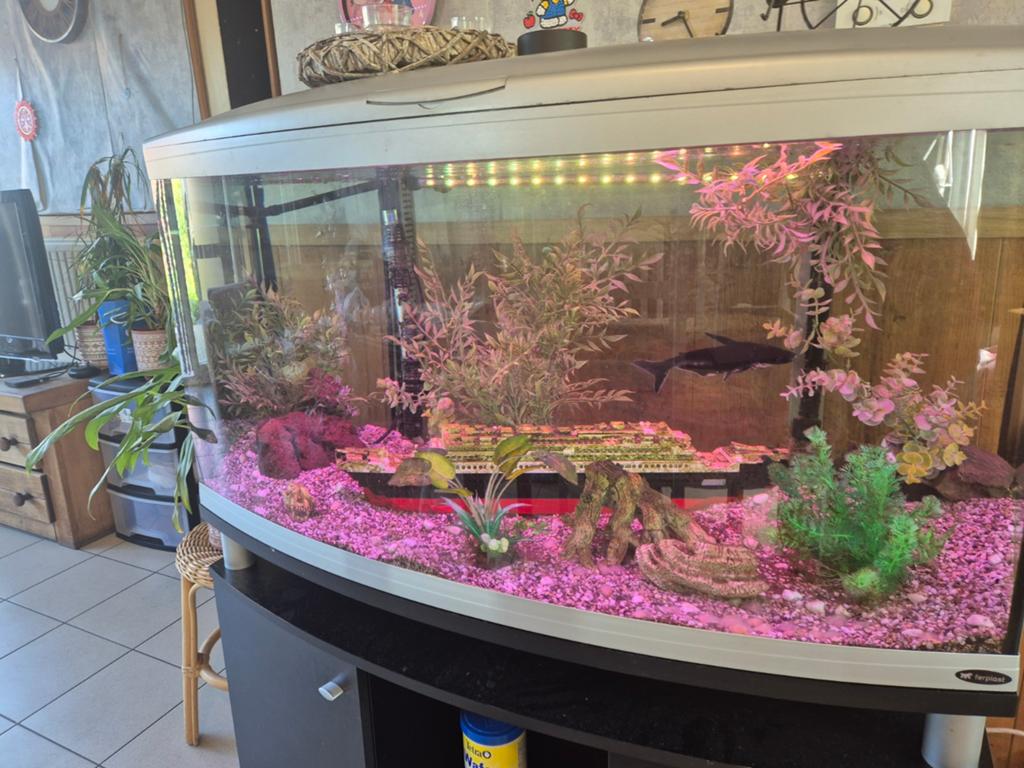 Vis aquarium 110 x 67, Dieren en Toebehoren, Ophalen of Verzenden