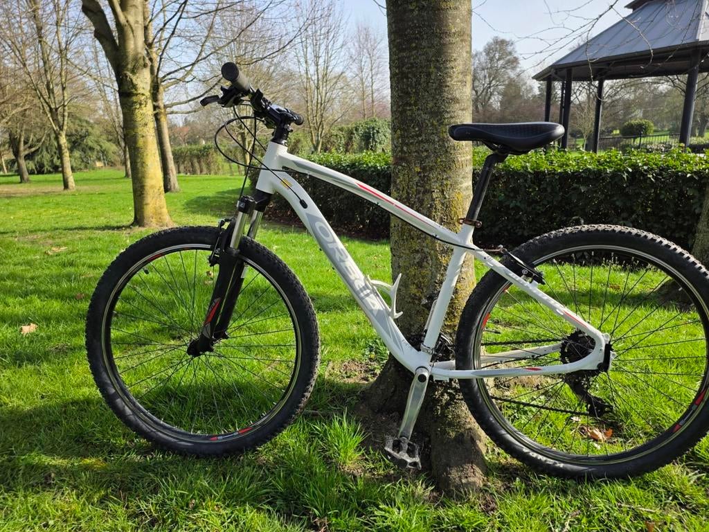 Velo, Enlèvement