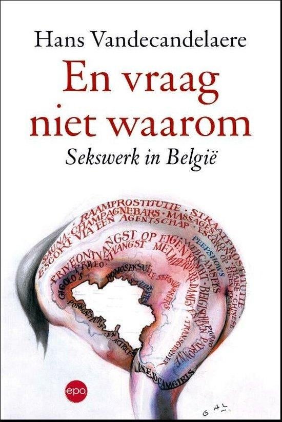 Te Koop Boek EN VRAAG NIET WAAROM Hans Vandecandelaere, Boeken, Hans Vandecandelaere, Ophalen of Verzenden, Zo goed als nieuw