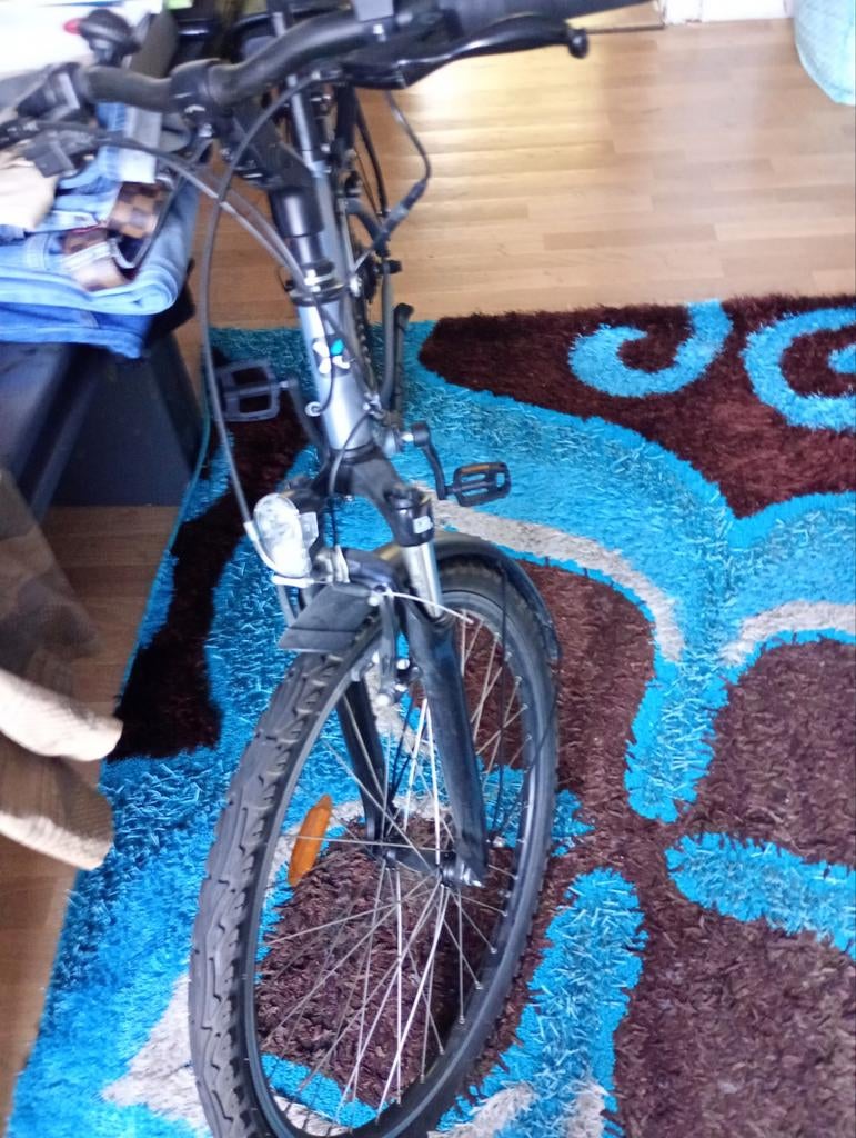 Elektrische fiets, Fietsen en Brommers, Elektrische fietsen, Ophalen