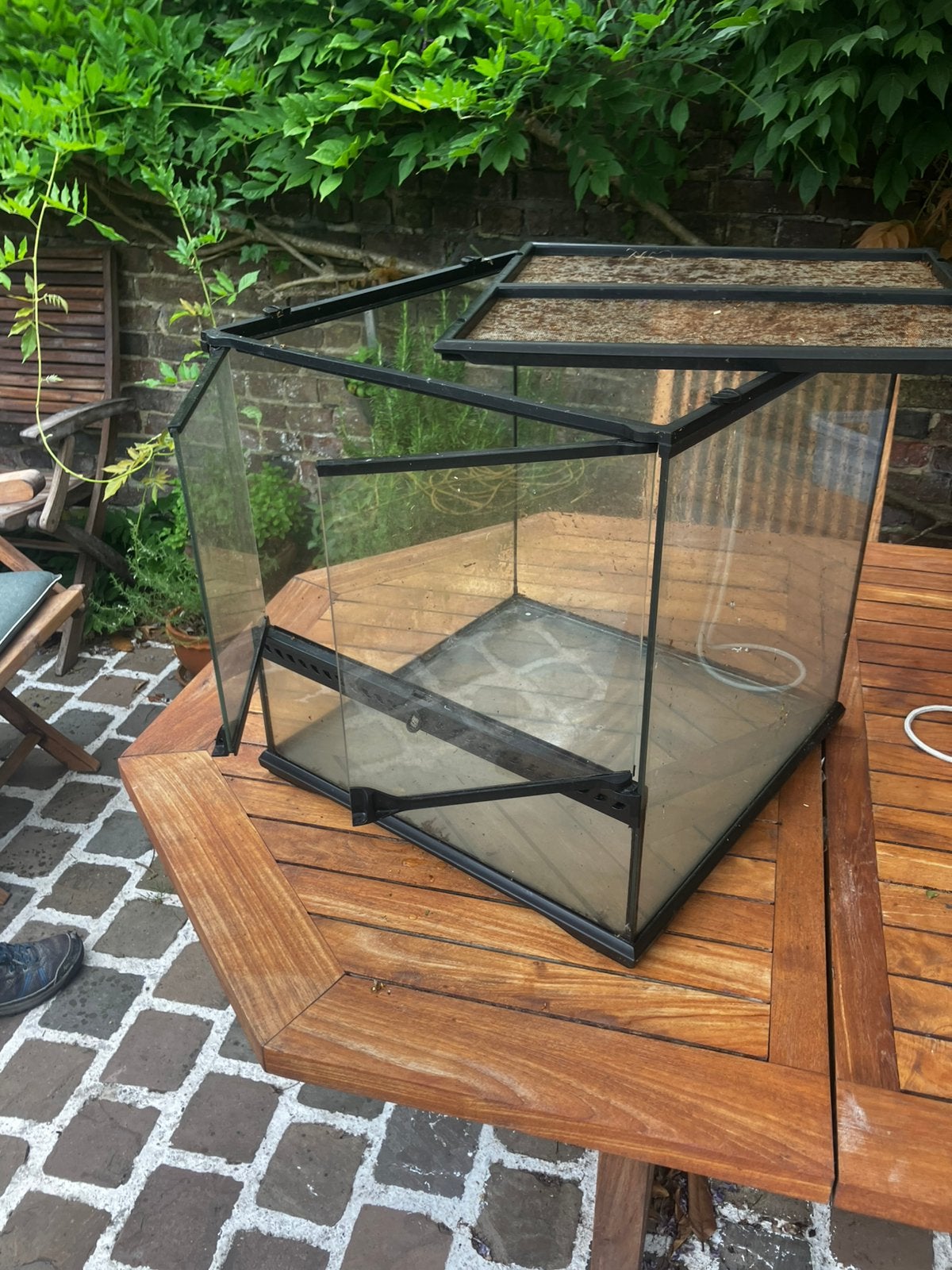 Terrarium ExoTerra : cube de 45 cm de côté, Animaux & Accessoires, Enlèvement, Comme neuf