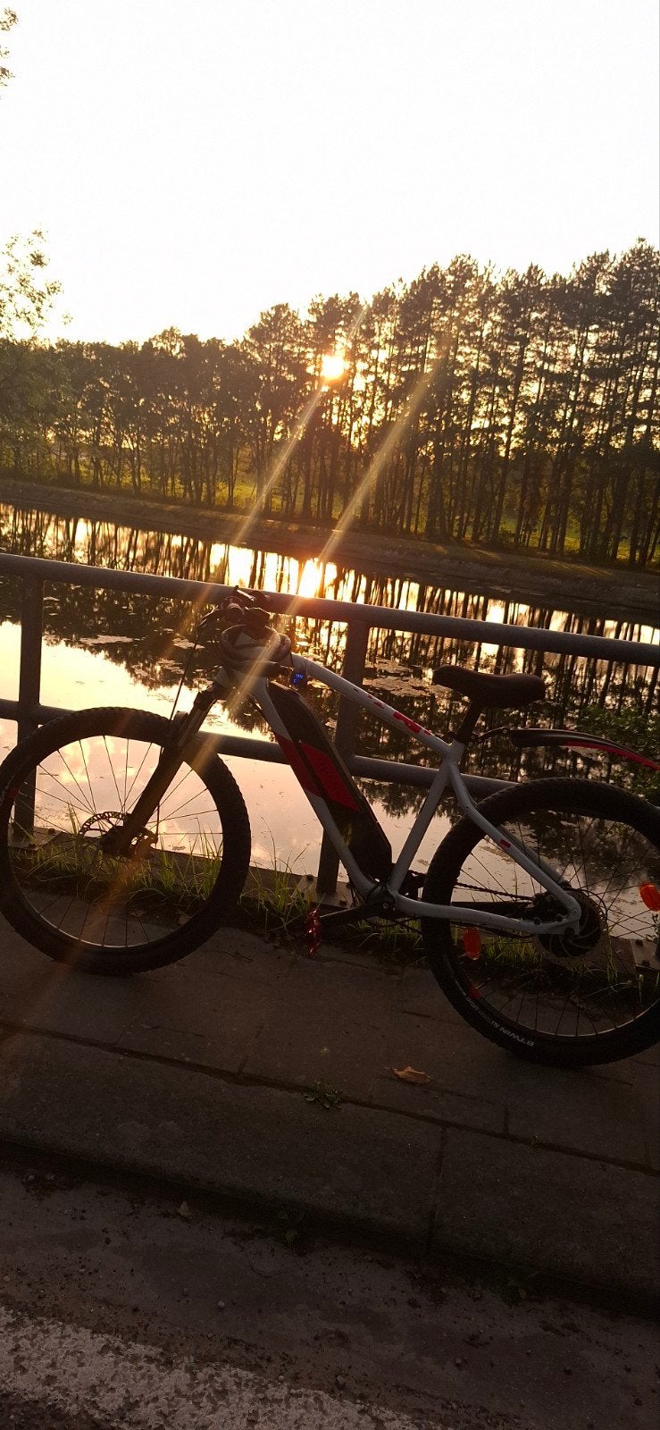 Hardtail elektrische rockrider custom rood met wit, Ophalen, Zo goed als nieuw, 50 km per accu of meer, Overige merken