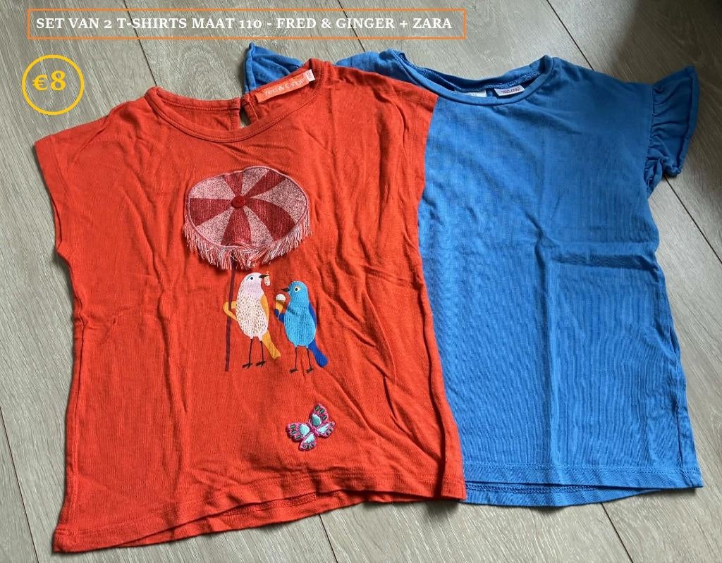 Setje van 2 T-shirts maat 110: F&G + Zara, Enfants & Bébés, Vêtements enfant | Taille 110, Enlèvement ou Envoi, Ensemble, Zara