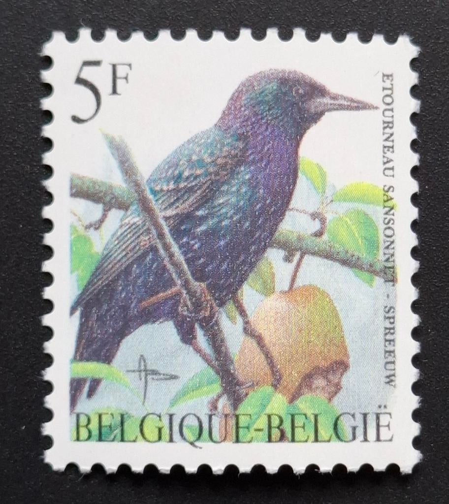 Belgique : COB 2638 ** Oiseaux 1996., Sans timbre, Neuf, Enlèvement ou Envoi, Non oblitéré