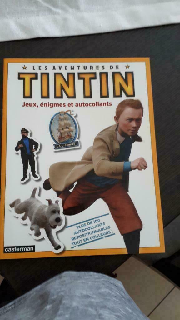 Tintin Jeux Enigmes et autocollants, Collections, Enlèvement, Tintin, Neuf
