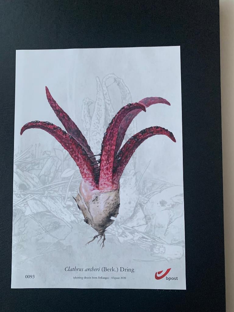 Genummerde illustratie postzegeluitgifte Paddenstoelen, Postzegels en Munten, Ophalen of Verzenden, Zonder stempel, Postfris, Postfris