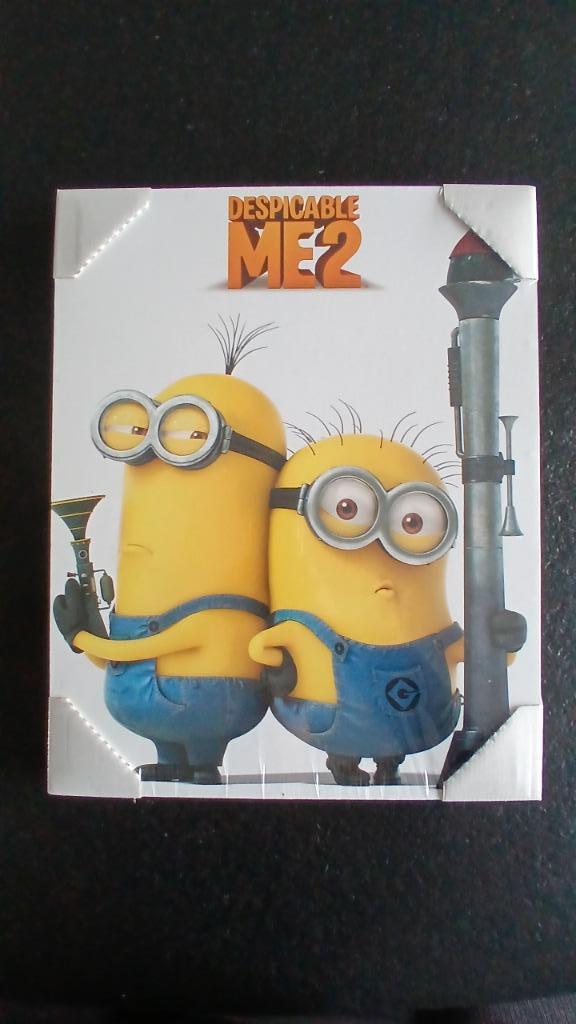 Kader Despicable Me 2 NIEUW, Ophalen of Verzenden, Nieuw, Wanddecoratie