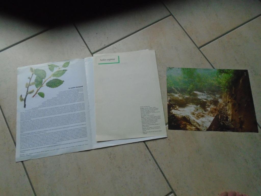 LE SAULE MARSAULT/DELHAIZE, Enlèvement ou Envoi, DELHAIZE