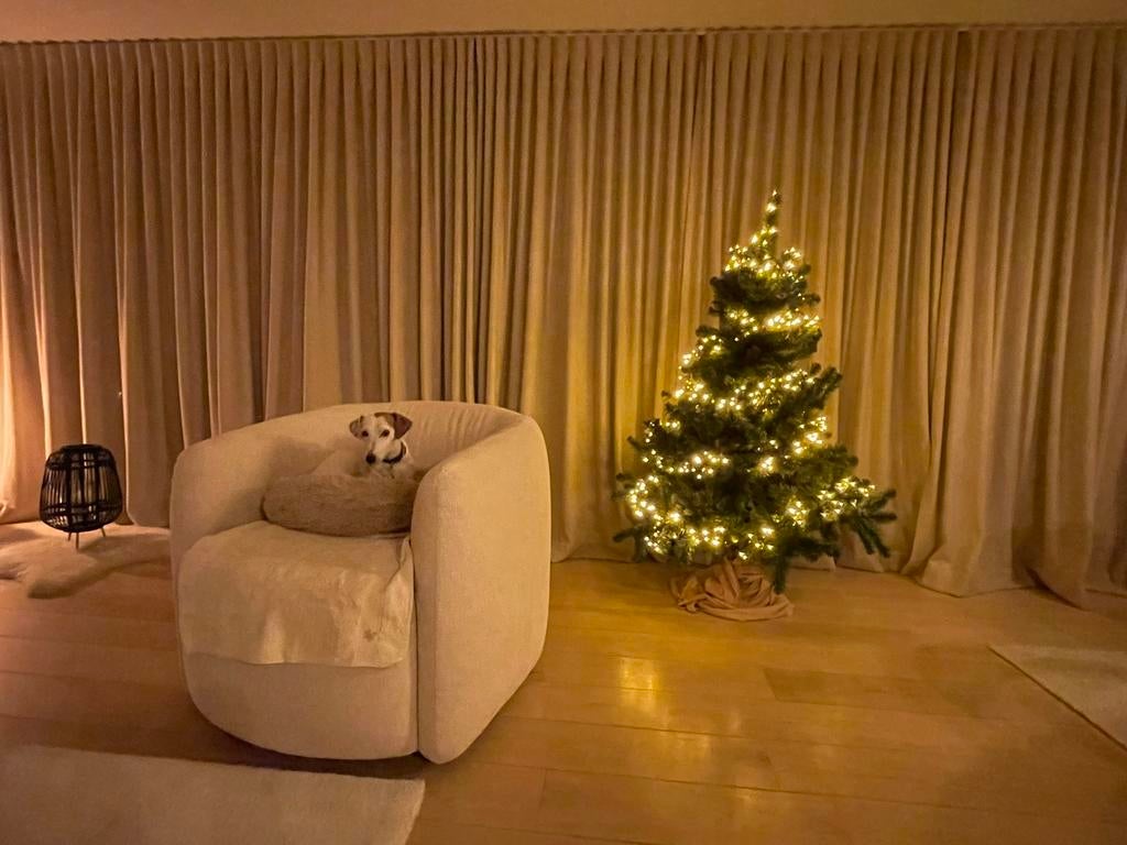 Petsitter Hondenopvang, Dieren en Toebehoren, Ophalen