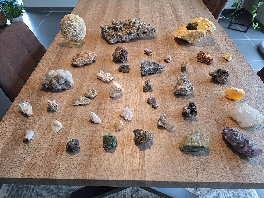 Collectie Mineralen & Kristallen (30+ stuks), Enlèvement, Minéral