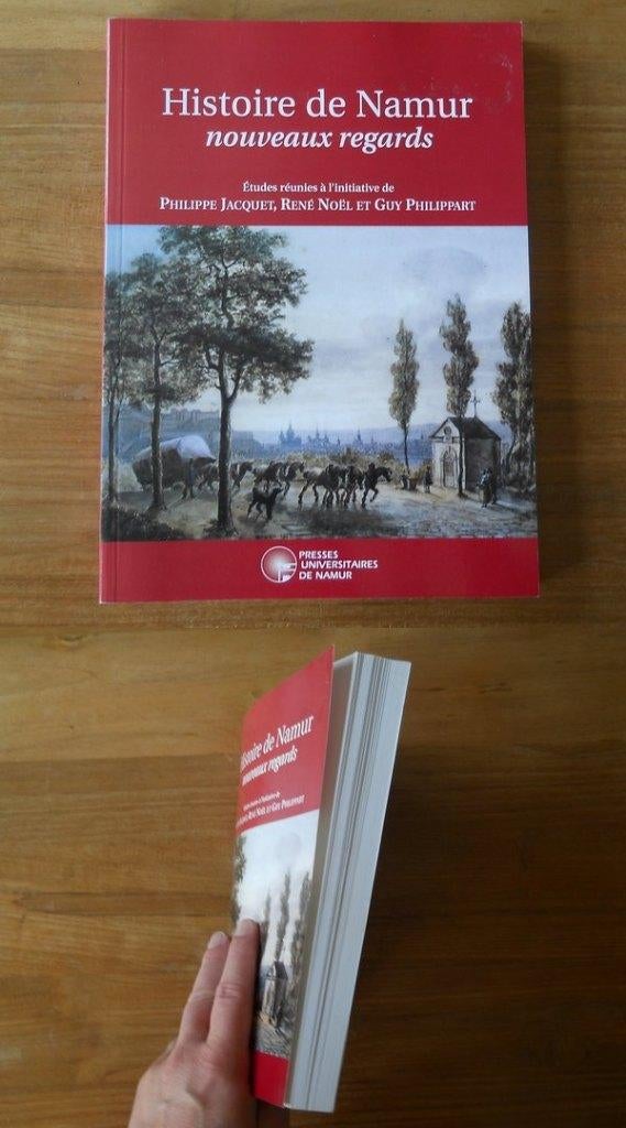Histoire De Namur  -  Nouveaux Regards, Enlèvement ou Envoi, Utilisé