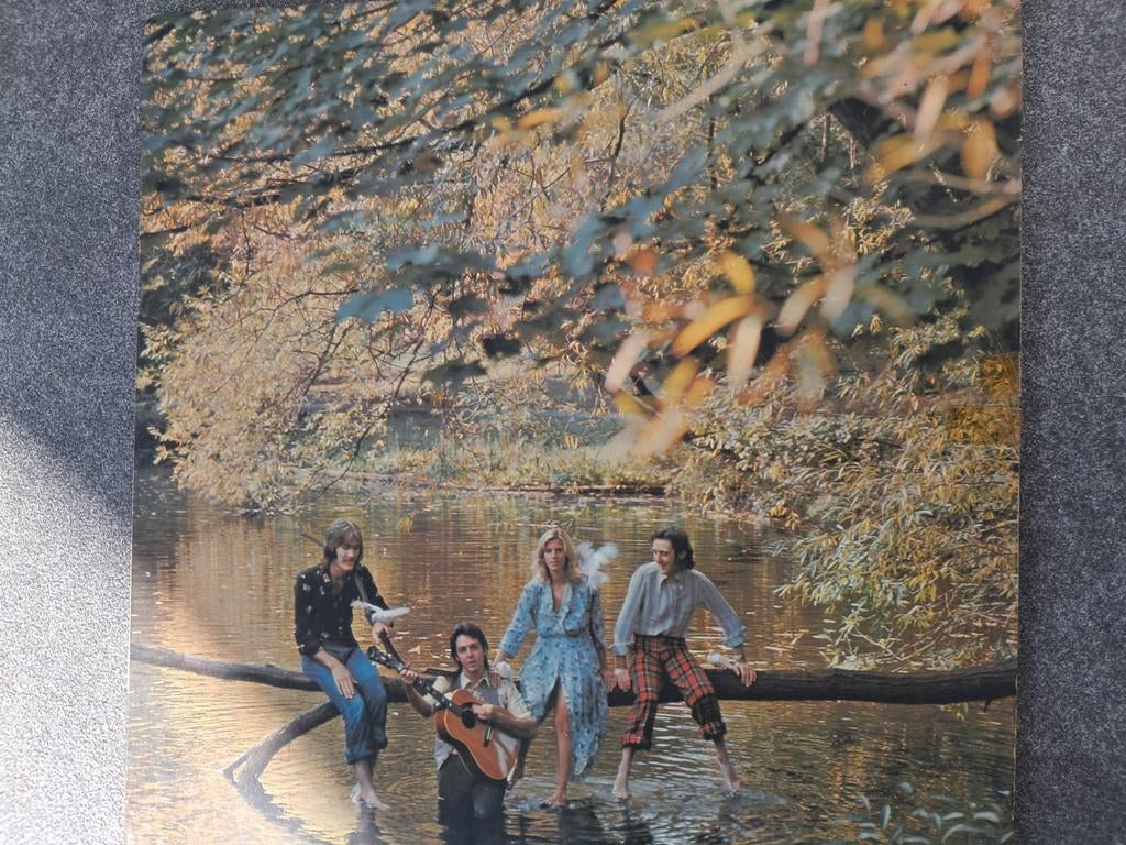 Lp Wings, Cd's en Dvd's, Vinyl | Rock, Ophalen of Verzenden, Gebruikt, 12 inch, Poprock