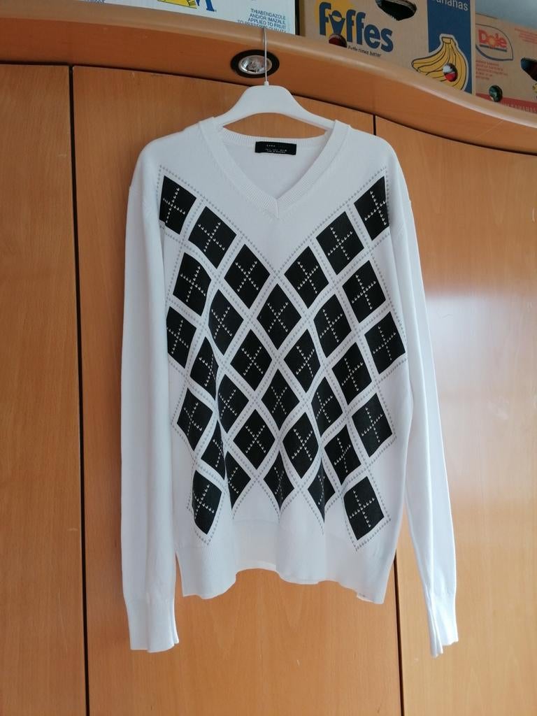 Trui met V hals, Taille 42/44 (L), Enlèvement ou Envoi, Zara, Porté