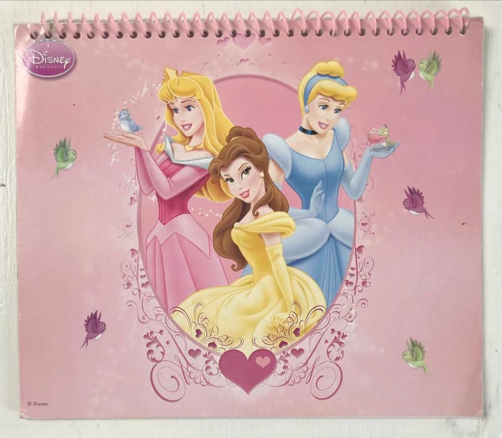 spiraalboekje 24 blanco blaadjes DIsney prinsessen, Hobby en Vrije tijd, Ophalen of Verzenden, Gebruikt, Papier, Schets- of Tekenboek