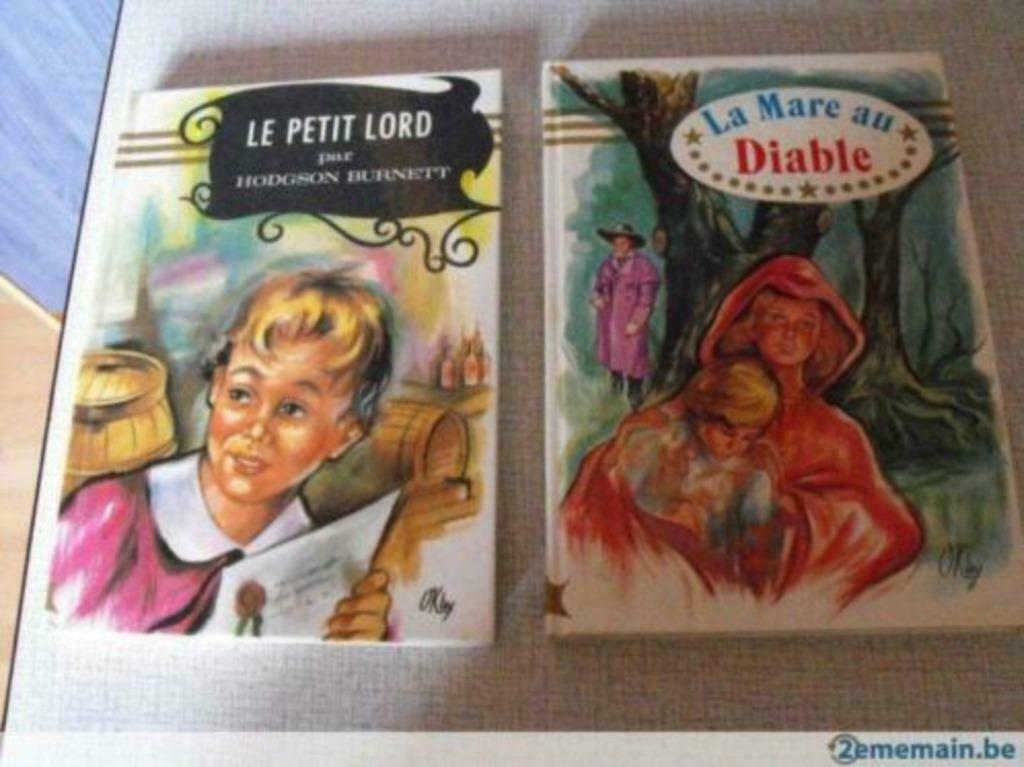 2 livres Ado, Livres, Enlèvement ou Envoi