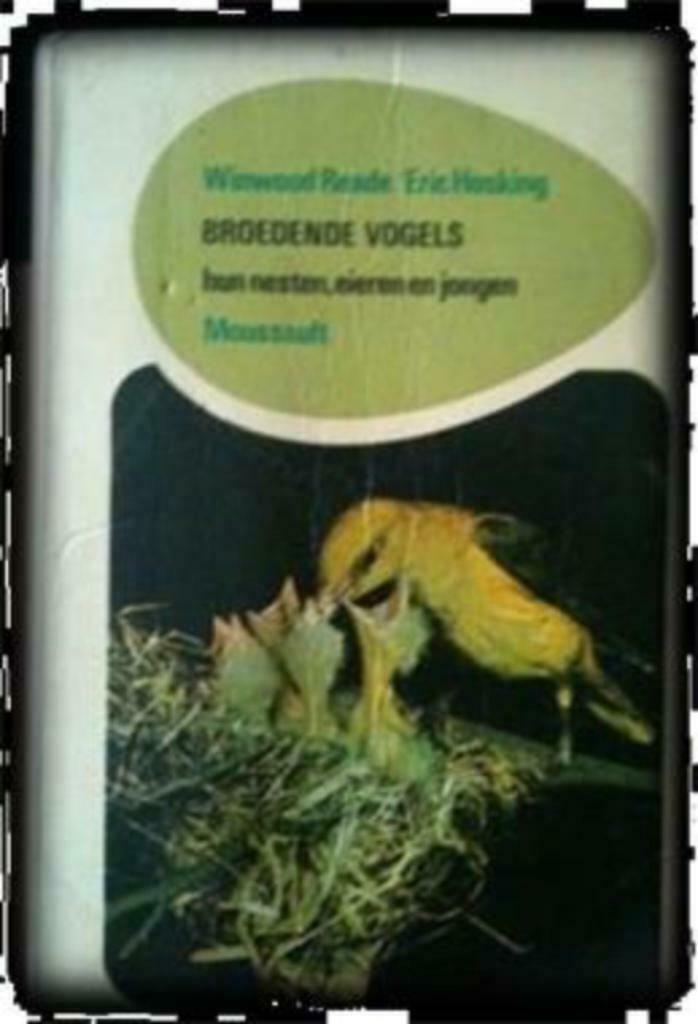 Broedende vogels, Winwood Reade, Ophalen of Verzenden, Gelezen, Vogels