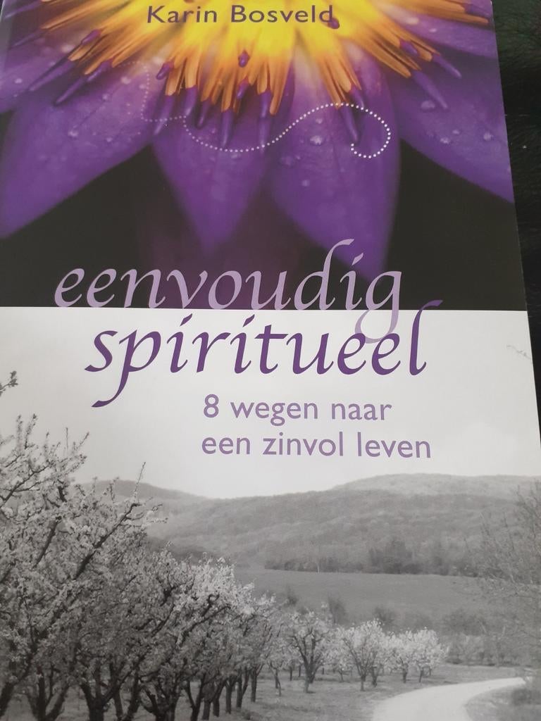 Eenvoudig spiritueel, Enlèvement ou Envoi, Comme neuf