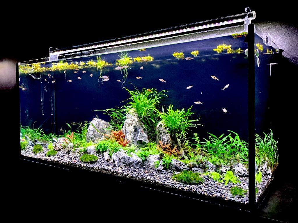Aquarium volledige installatie, Ophalen, Zo goed als nieuw, Leeg aquarium