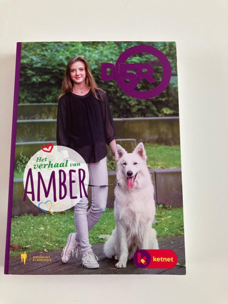 Gesigneerd leesboekje D5R - Het verhaal van Amber, Boeken, Ophalen of Verzenden, Zo goed als nieuw, Ketnet