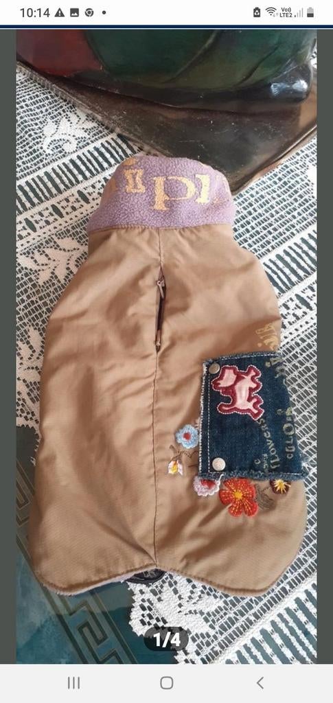 Manteau chien chipie 26cms