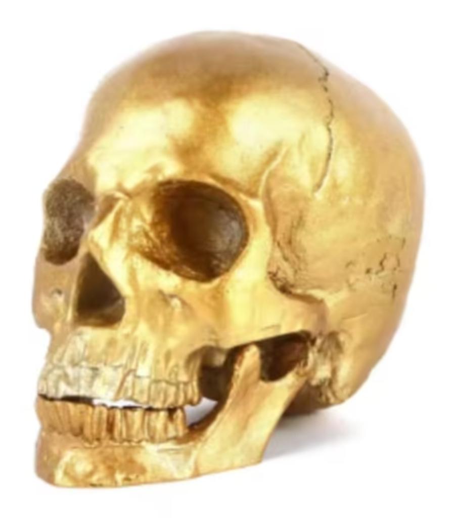 Prachtig schedel beeld 1:1 realistisch goudkleurig (18cm)