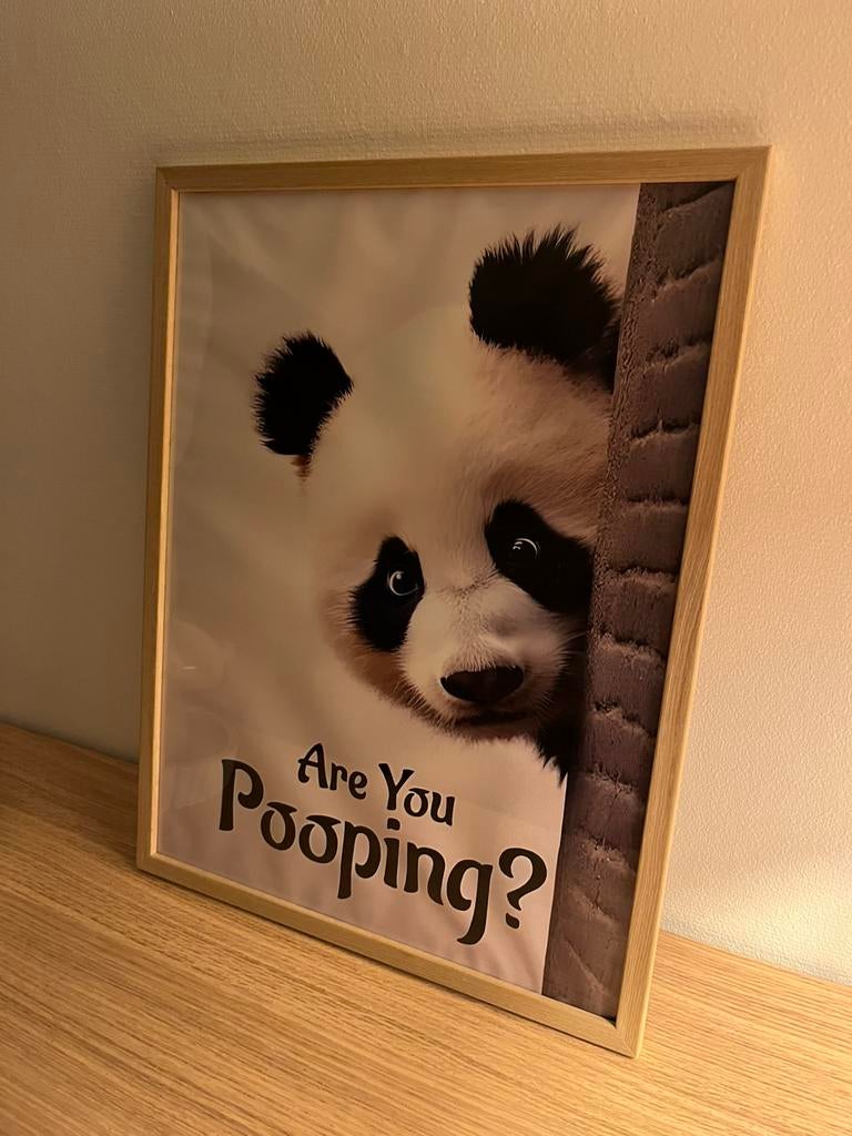 Grappige poster met kader 30x40, Ophalen, Zo goed als nieuw