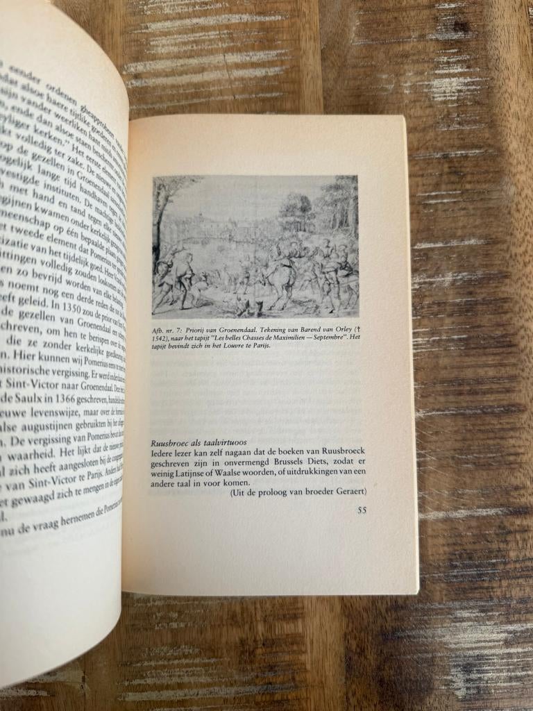 Ruusbroec en zijn mystiek - Paul Verdeyen, Boeken, Gelezen, Paul Verdeyen, Christendom | Katholiek, Ophalen of Verzenden