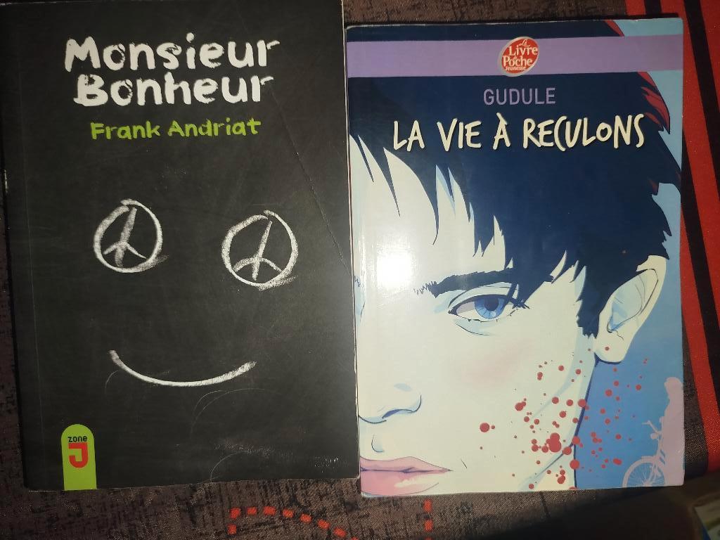 Livre scolaire, Livres, Enlèvement ou Envoi, Comme neuf, Histoire