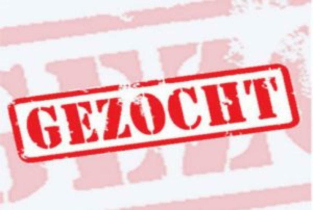 gezocht recente tweedehands motos, Motoren, Bedrijf, 1000 cc, Overig