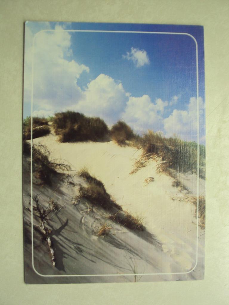 51215 - DE BELGISCHE KUST - DE DUINEN, Enlèvement ou Envoi