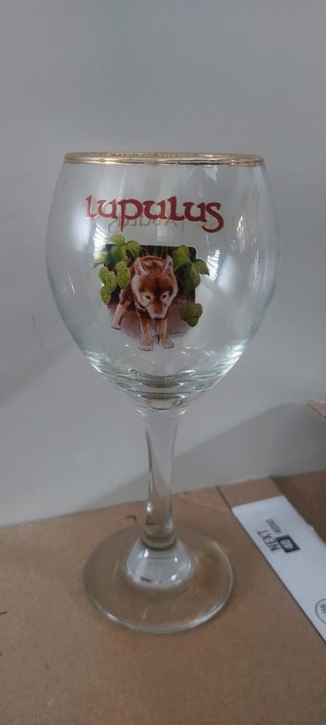Lupulusglas 25 cl, Ophalen of Verzenden, Zo goed als nieuw