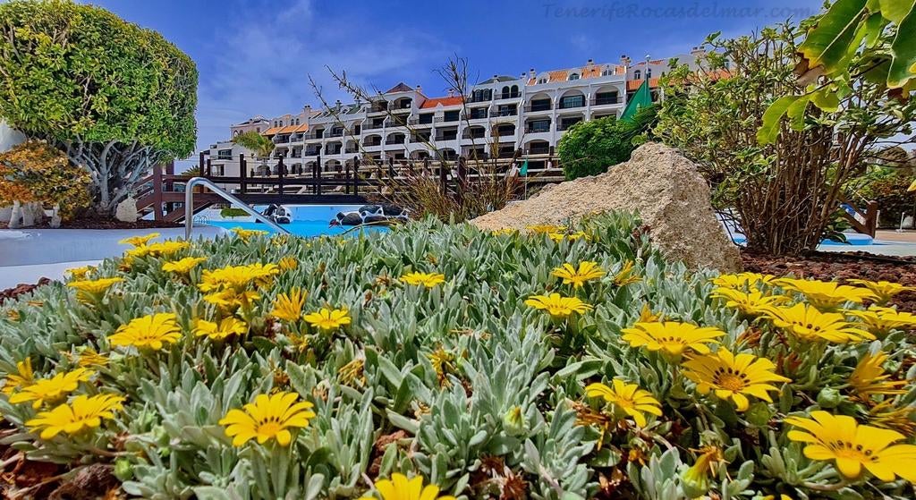 Tenerife 4 sterren duplex appartement Rocas del Mar, 1 chambre, Appartement, Îles Canaries, Piscine