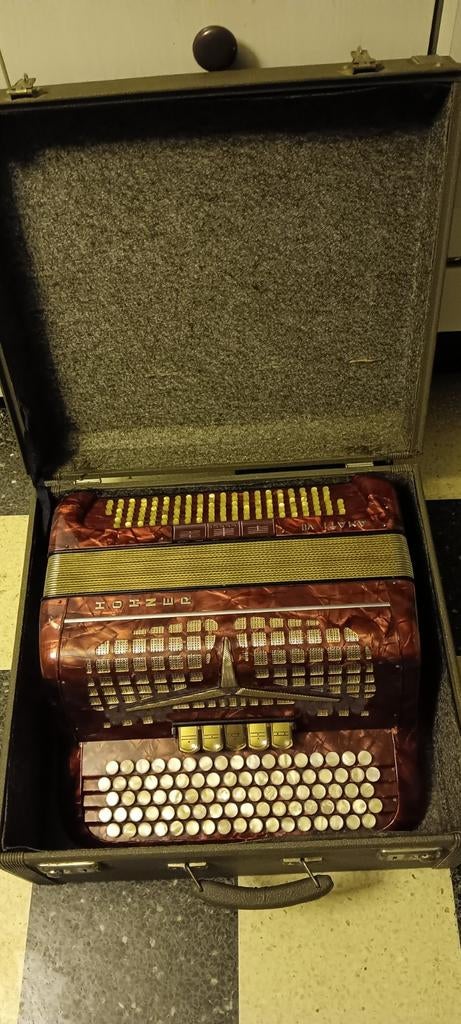 Hohner Amati VII, Musique & Instruments, Accordéons, Enlèvement, Hohner